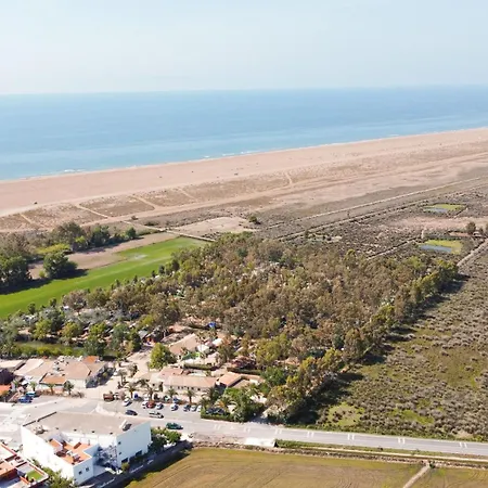 Calito Del Delta L'Eucaliptus