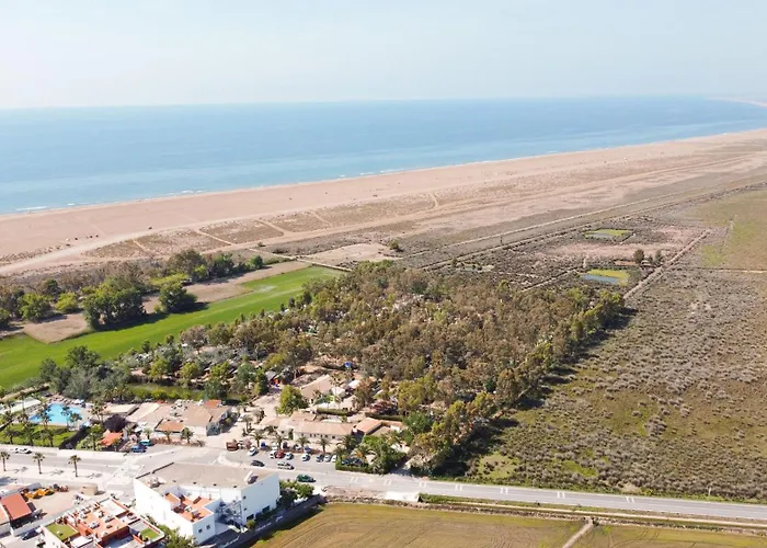 Calito Del Delta L'Eucaliptus